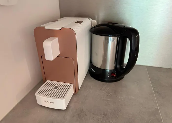 Royal 32, Untere Maressenstrasse 12 アパート ロイカーバード